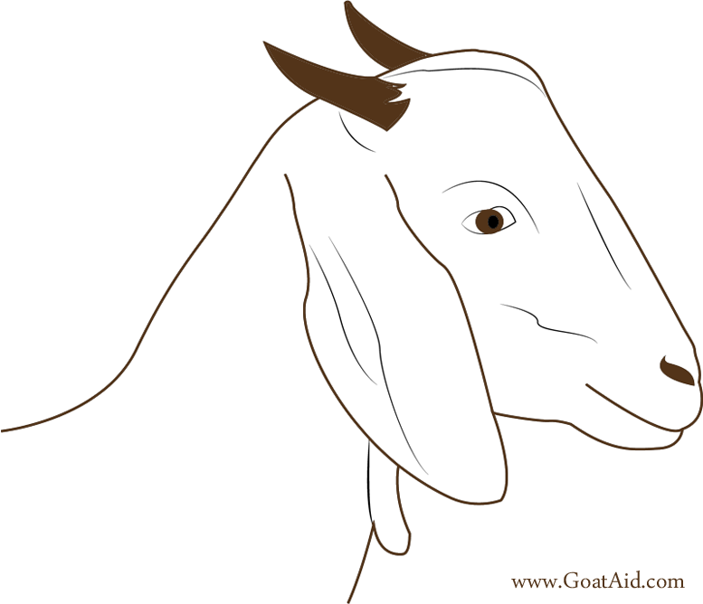 Working Animal (777x668), Png Download