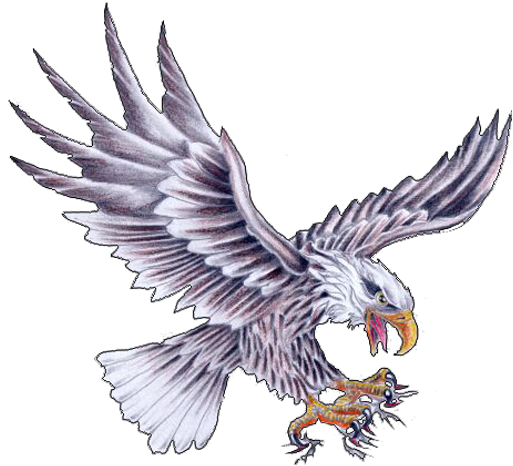 Eagle Tattoos Designs 71 - Eagle Tattoo Flash Art (520x476), Png Download