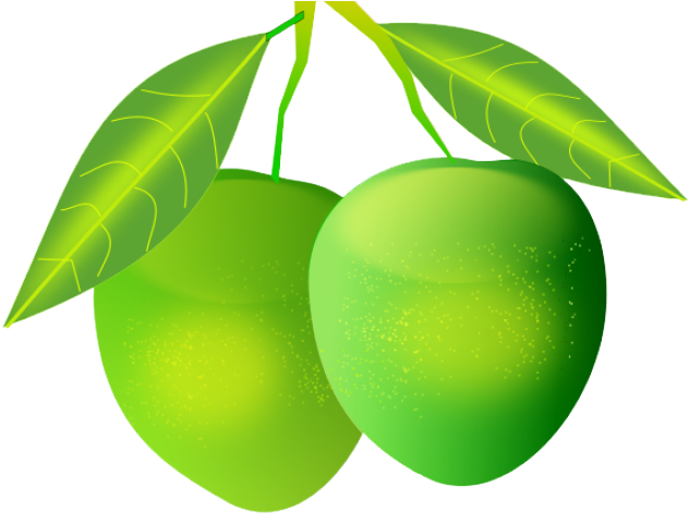 Mango Download Png - Mango Png (577x454), Png Download