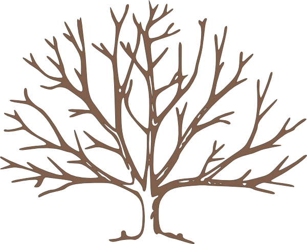 Bare Tree Clipart Bare Tree Clipart Png Hnnq96 Clipart - Draw A Winter Tree (600x477), Png Download