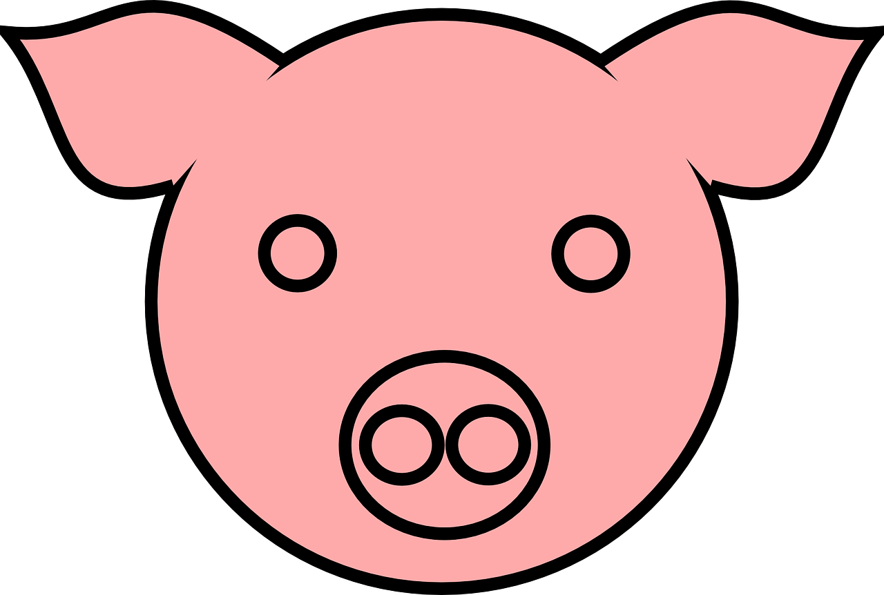 Pigs Drawing Portrait - Pig Face Drawing (600x404), Png Download