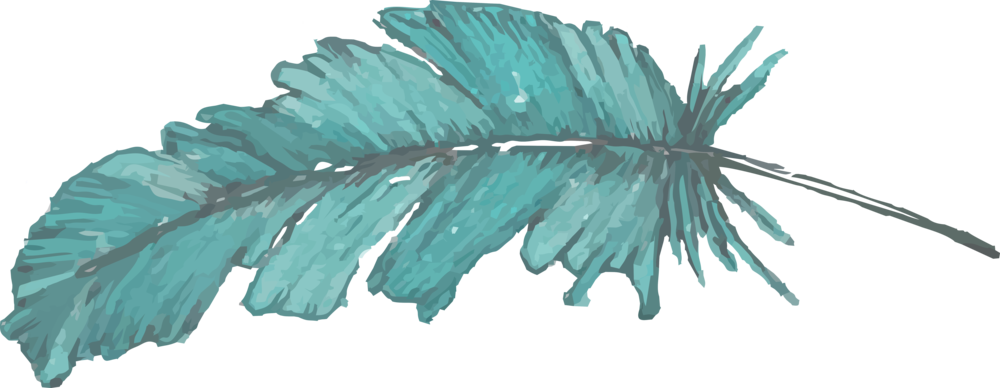 Feather - Portable Network Graphics (1000x388), Png Download