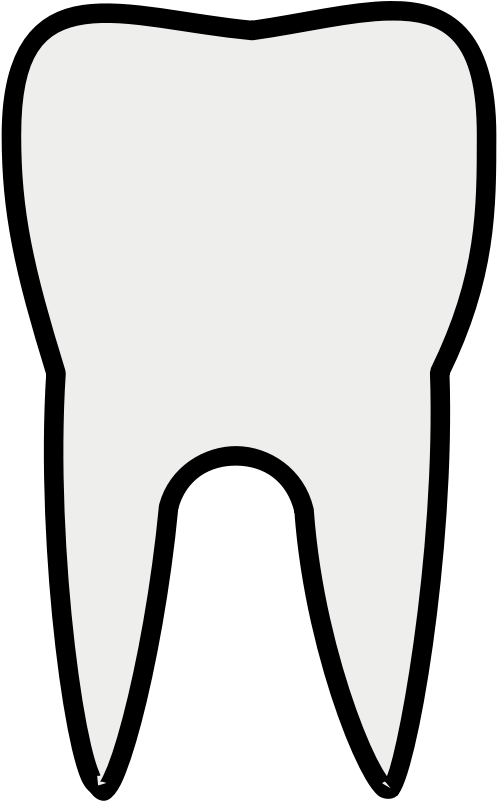 Tooth Clip Art Many Interesting Cliparts - Tooth Outline (800x800), Png Download