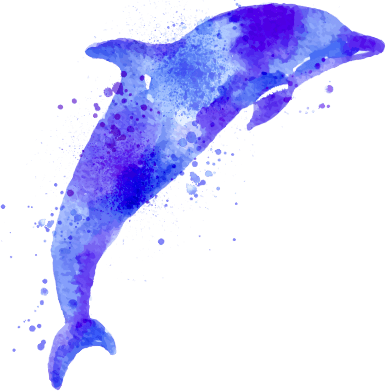 See The Formations - Common Bottlenose Dolphin (386x391), Png Download