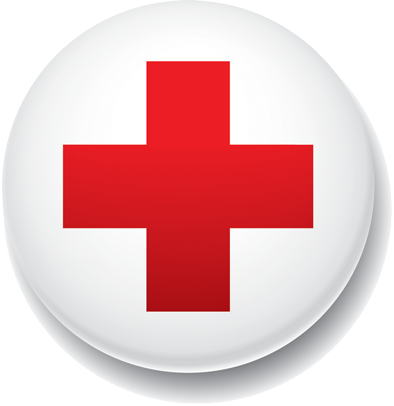 Red Cross Adult And Pediatric First Aid/cpr/aed (394x406), Png Download