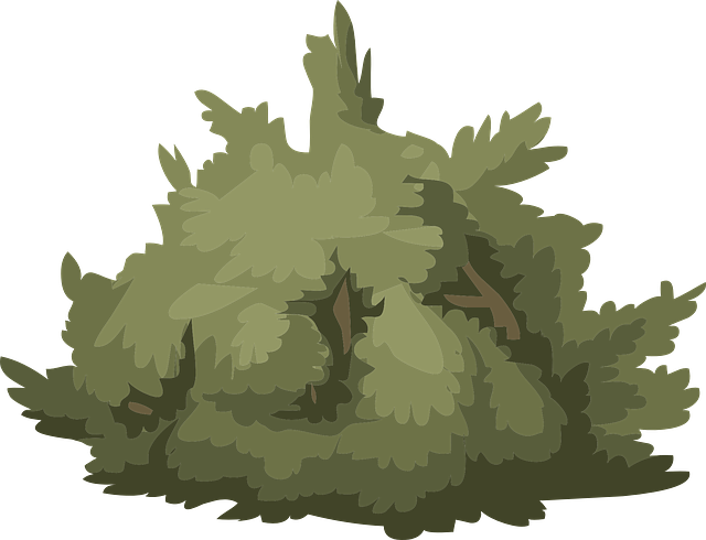 Bush Shrub Green Plant Nature Greenery Lus - Bush Png Vector (444x340), Png Download