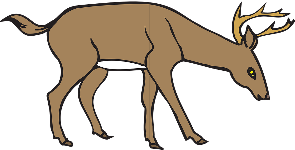 Deer Clipart Free - Deer Eating Grass Clipart (960x488), Png Download