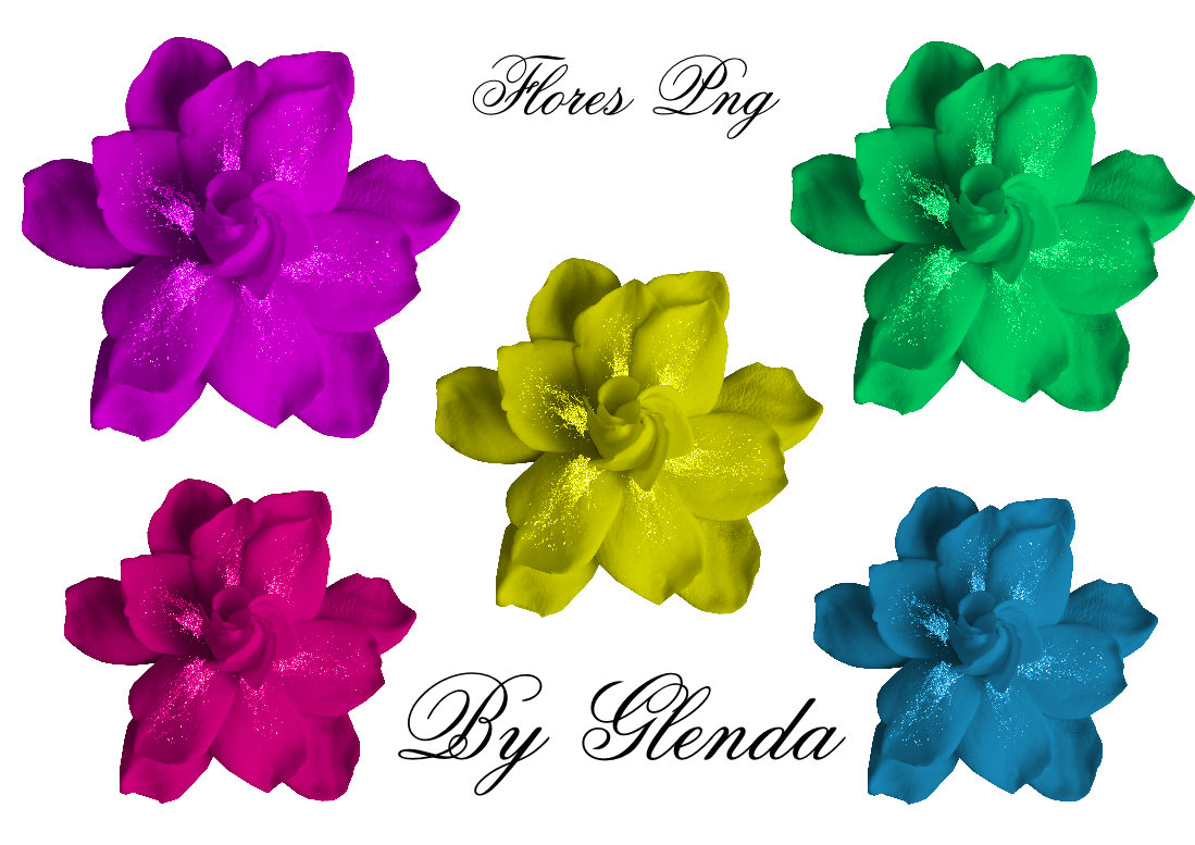 Flores Png By Agnes - Flores Png (1099x777), Png Download