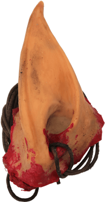 Elven Ear Trophy Necklace - Elfen Trophy Oor Kostuum Decoratie Decoratie - Larp (415x415), Png Download