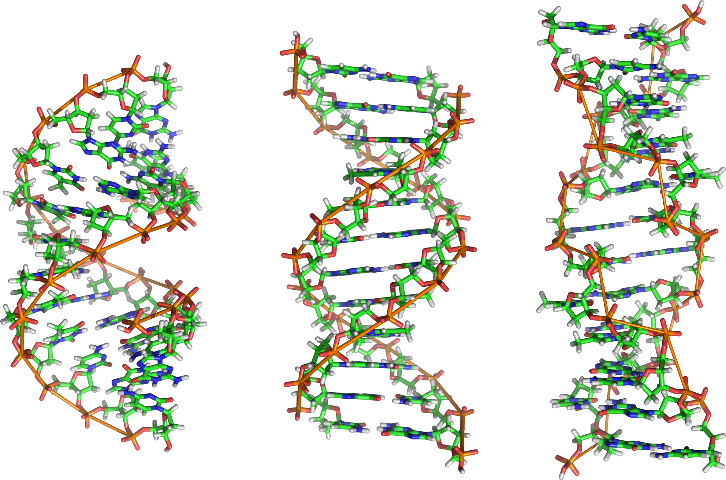 A Dna, B Dna And Z Dna - Dna B Dna Z Dna (2486x1620), Png Download