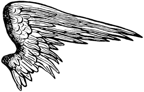 Angel Wings Shower Curtain (500x325), Png Download
