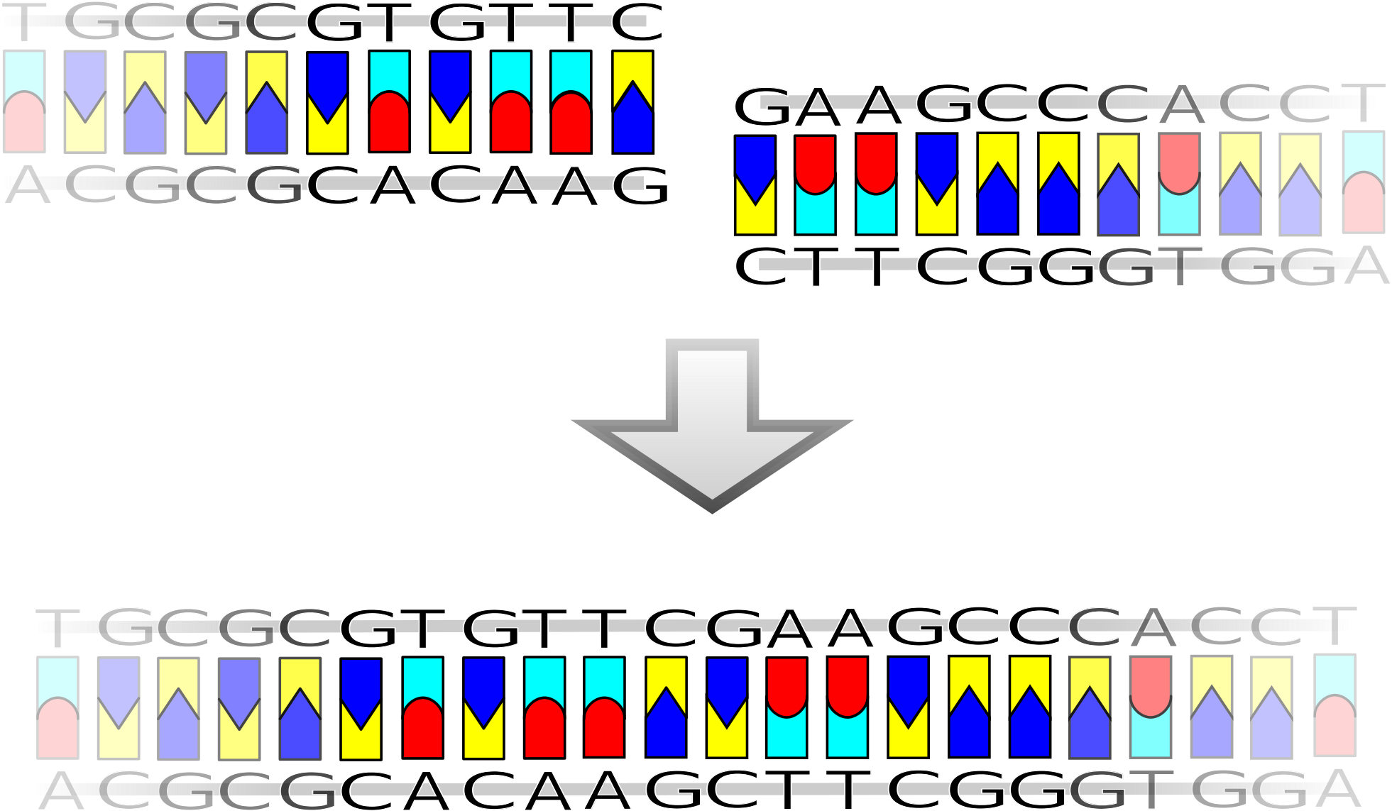 Open - Recombinacion Del Adn En La Naturaleza (2000x1286), Png Download