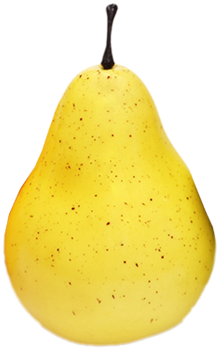 Pear Png - Portable Network Graphics (445x355), Png Download