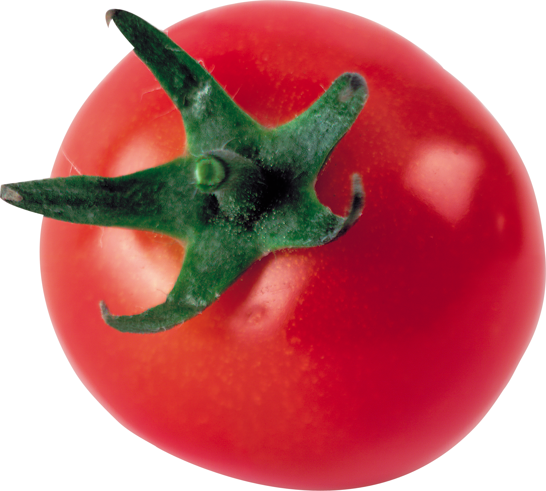 Tomato Transparent Png Sticker - Tomate Groß, 3 Zoll-runder Magnet Runder Magnet 7,6 (1911x1719), Png Download