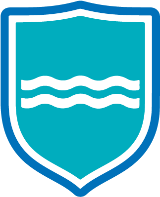 Cropped Camintac Log Shield 2 - Vila Nova Escudo Png (423x423), Png Download