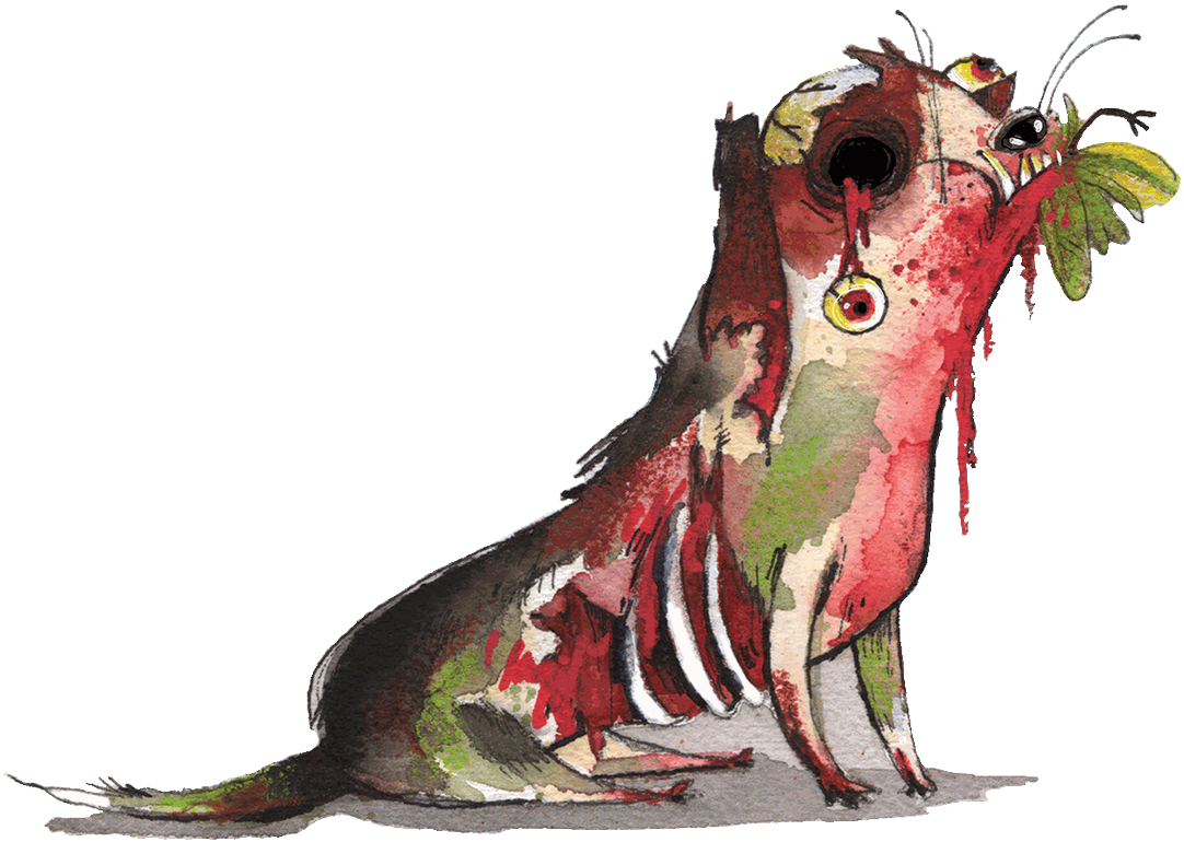 Anita Punton On Twitter - Cockatiel (1200x840), Png Download