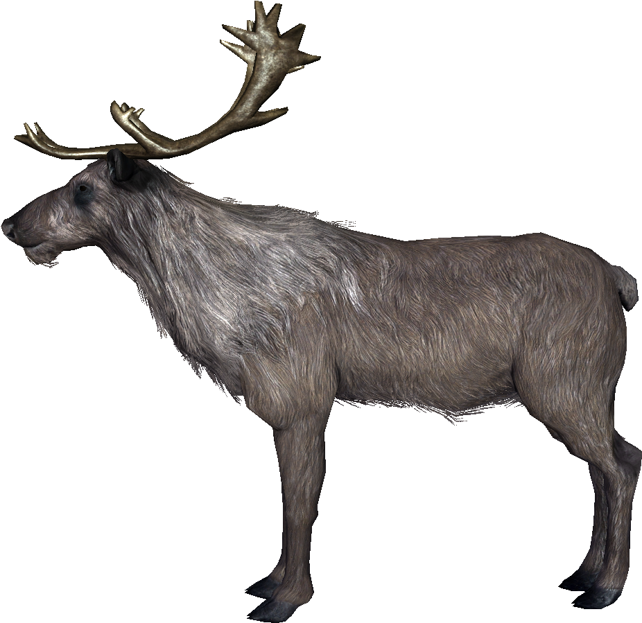 Skyrim Deer (936x936), Png Download