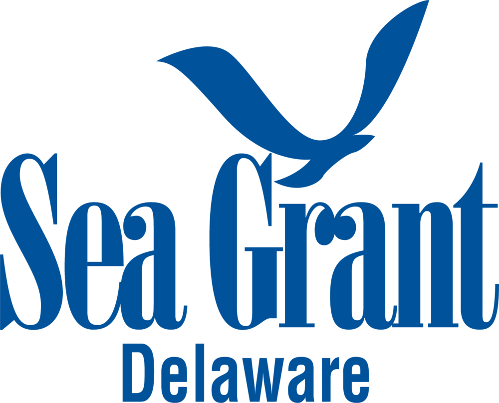 Dsg-1color - Delaware Sea Grant (1000x808), Png Download