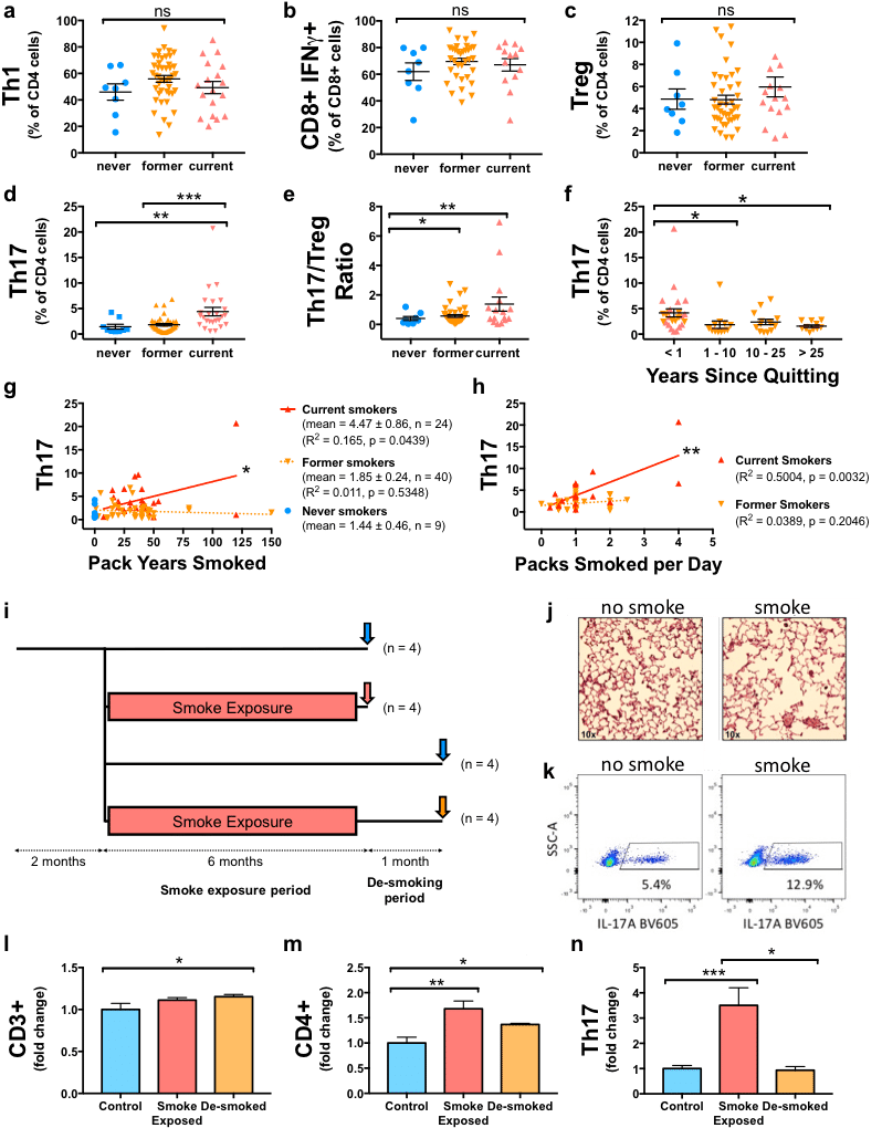Th17 Differentiation In Humans And Mice Is Associated - Diagram (813x1037), Png Download