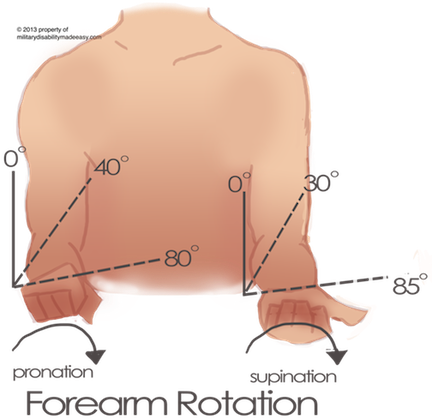 Forearm Supination 5 - Measuring Supination (432x420), Png Download