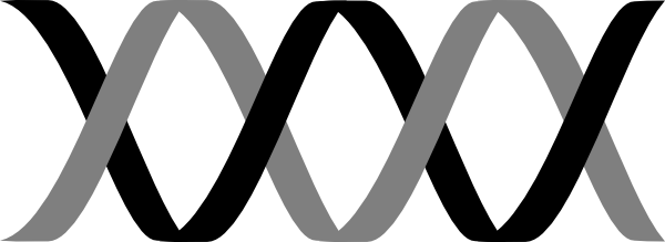 Jpg Free Download Clipart Panda Free Images Dnaclipart - Black And White Dna Clipart (600x219), Png Download