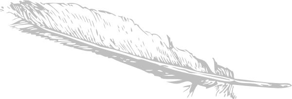 Download Png Image Report - Feather Clip Art (600x205), Png Download
