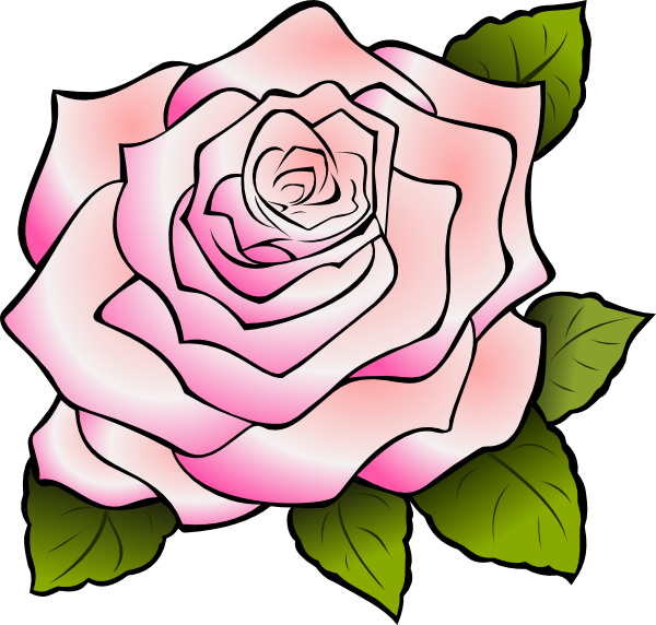 How To Set Use Pink Rose Clipart (600x572), Png Download