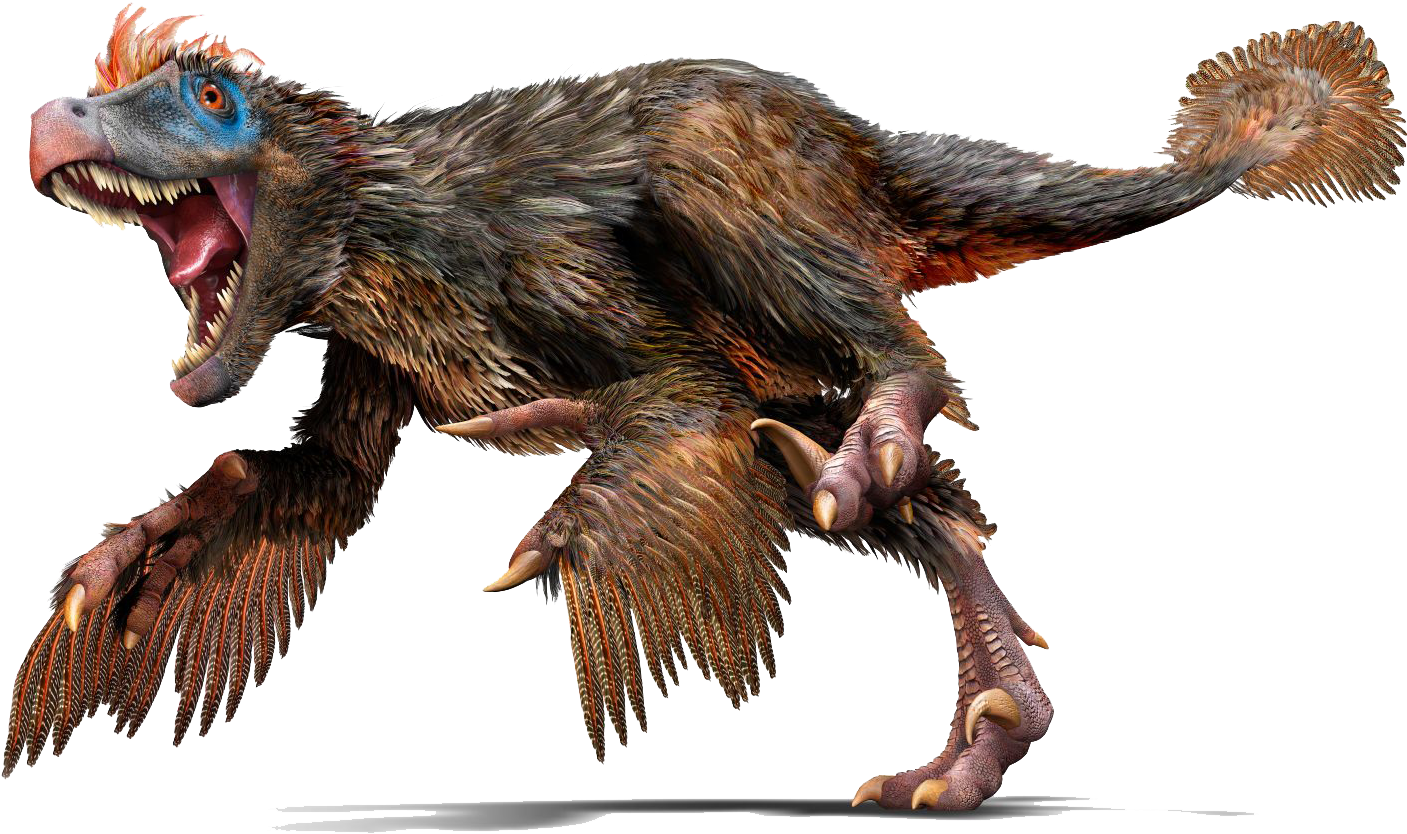 Velociraptor Feathers (1440x875), Png Download