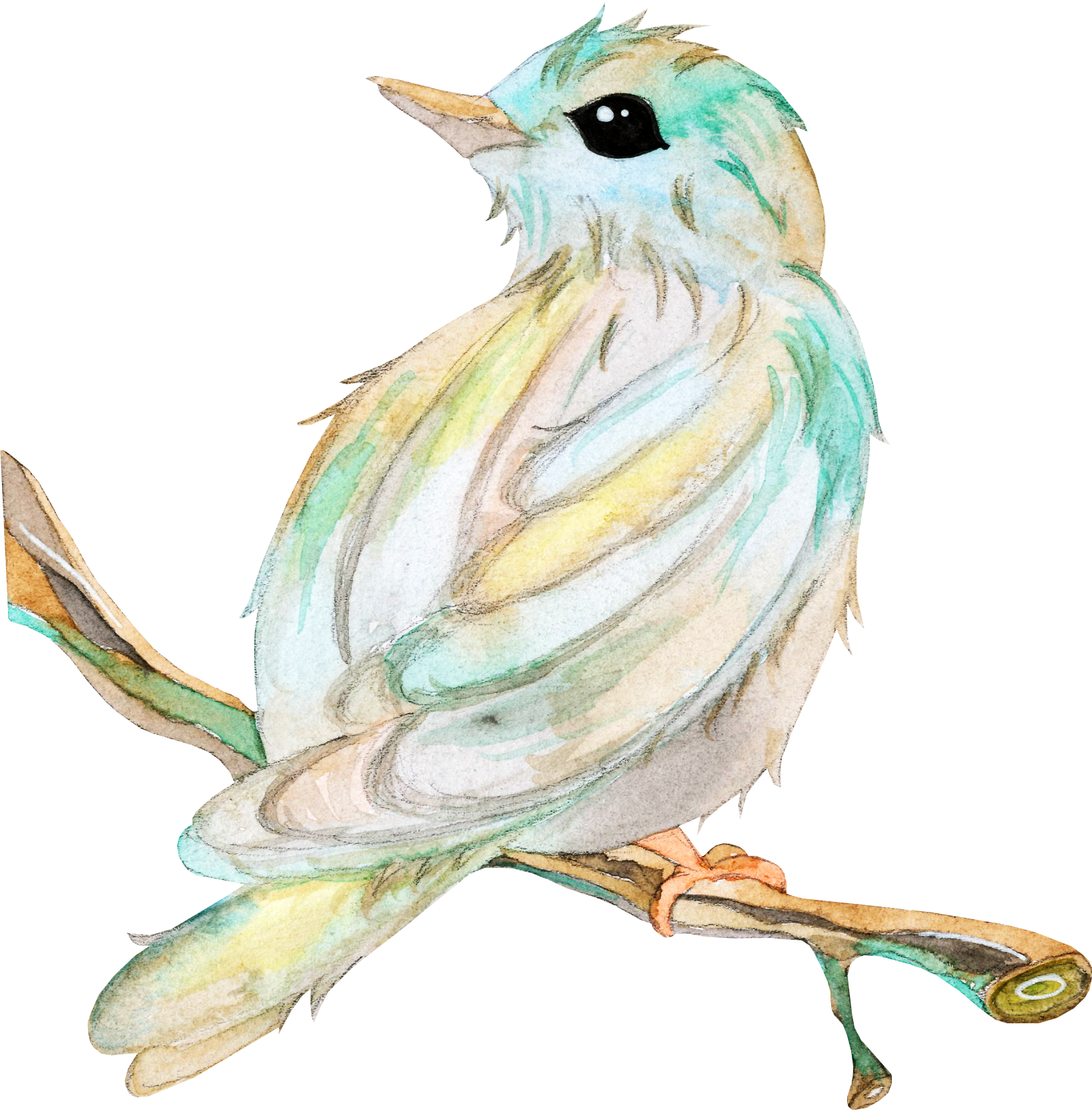 Bird Owl Beak Clip Art Branches Transprent - Bird (1637x1664), Png Download
