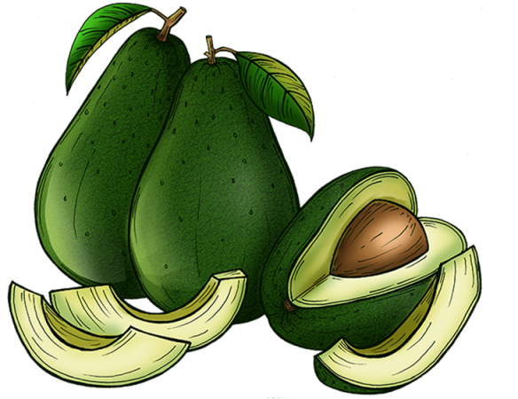 Avocado, Food, Background Png And Psd - Common Guava (640x640), Png Download