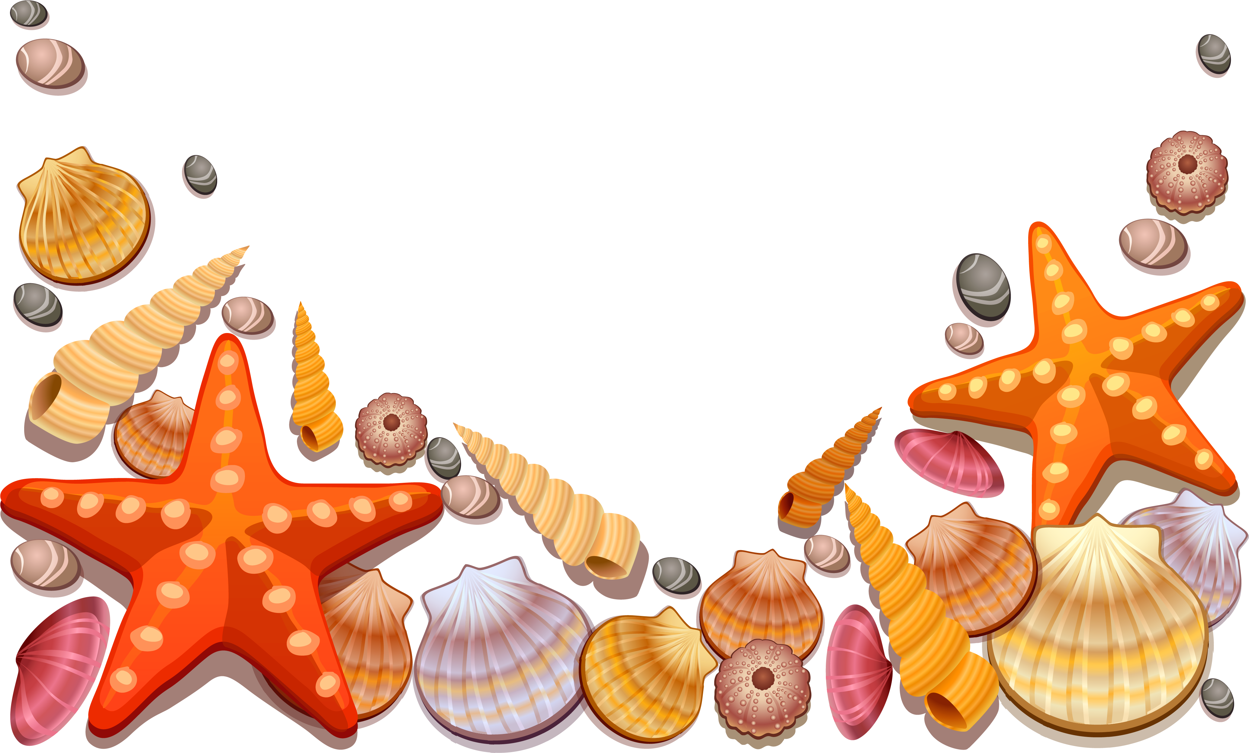 Image Royalty Free Library Colorful Seashell Clipart - Sea Shells Shower Curtain (4242x2645), Png Download