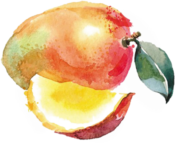 Watercolor Paintings Fruits And Vegetables (584x480), Png Download
