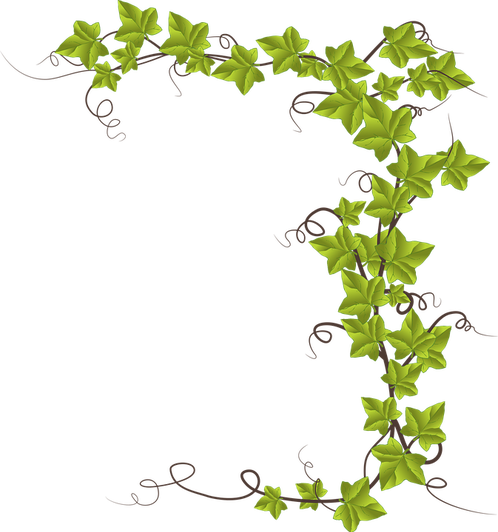 The Vines Run All The Way Down The Shaft Of A Wand - Monkeyshine Wine Accio Wine! And I Solemnly Swear...combo (498x532), Png Download
