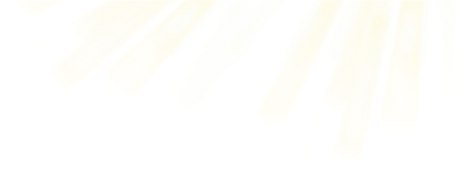 Contact Us - Shirt (1243x404), Png Download