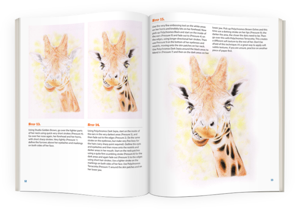 Ginny The Giraffe - Ann Kullberg (600x429), Png Download
