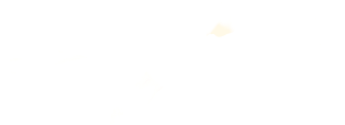 Back R Paw - Plate (475x538), Png Download
