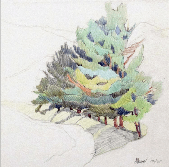 David Lusk Frieda Hamm - Jack Pine (1200x571), Png Download