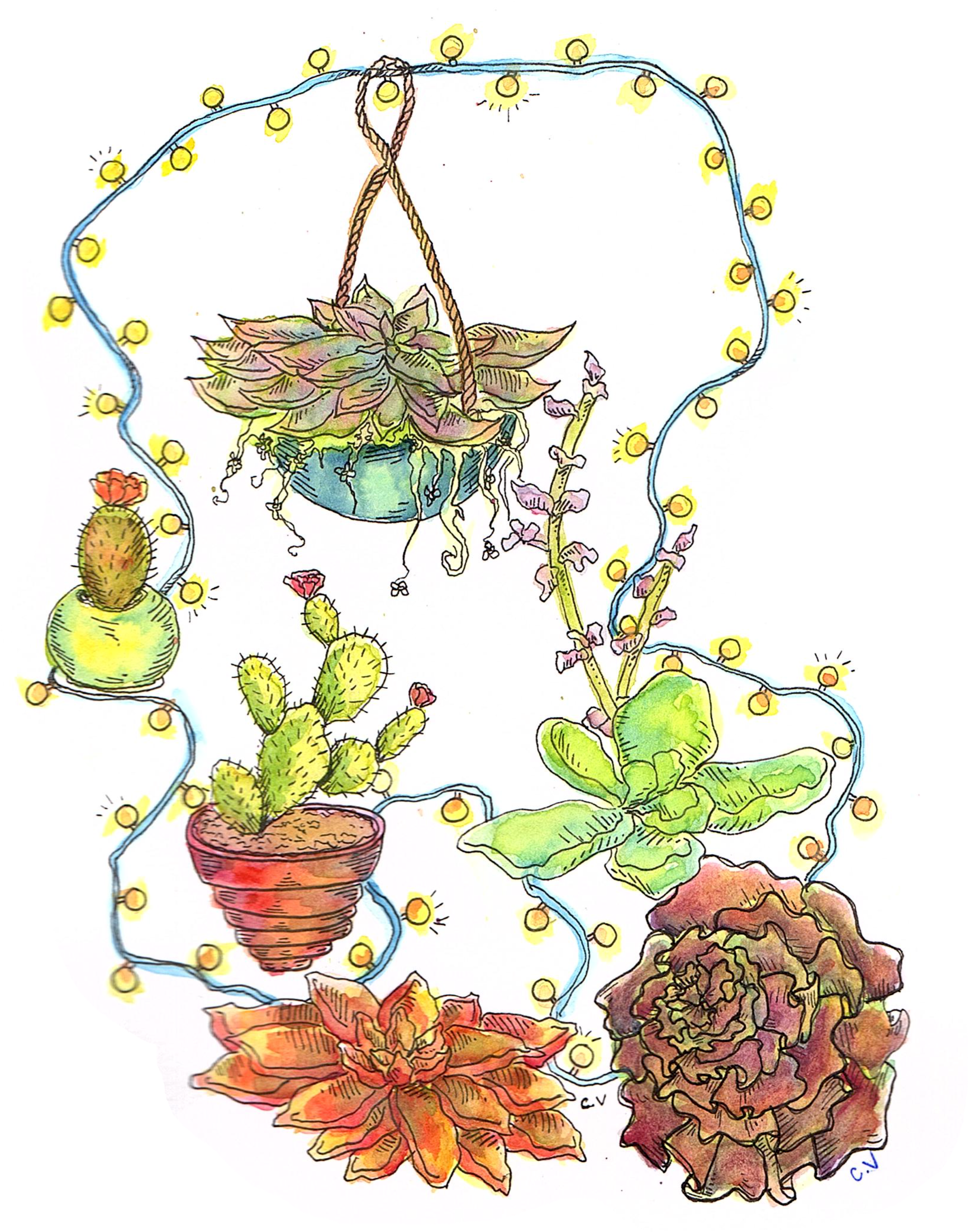 >ink And Watercolor >commission Pricing Here - Cactus (1629x2074), Png Download