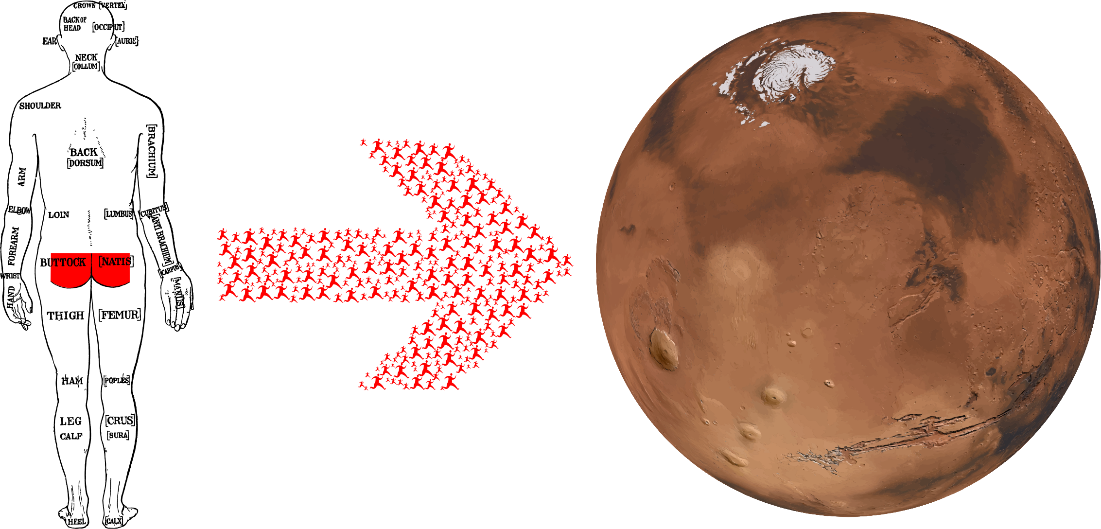 This Free Icons Png Design Of Get Your Gluteus To Mars (2265x1088), Png Download