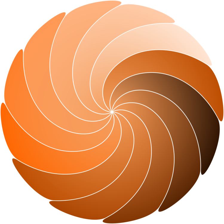 Golden Spiral Shape Drawing Spiral Galaxy - Spiral Shapes (750x750), Png Download