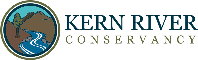 Kern - Cerne Giant By Timothy Darvill 9781900188944 (paperback) (900x300), Png Download