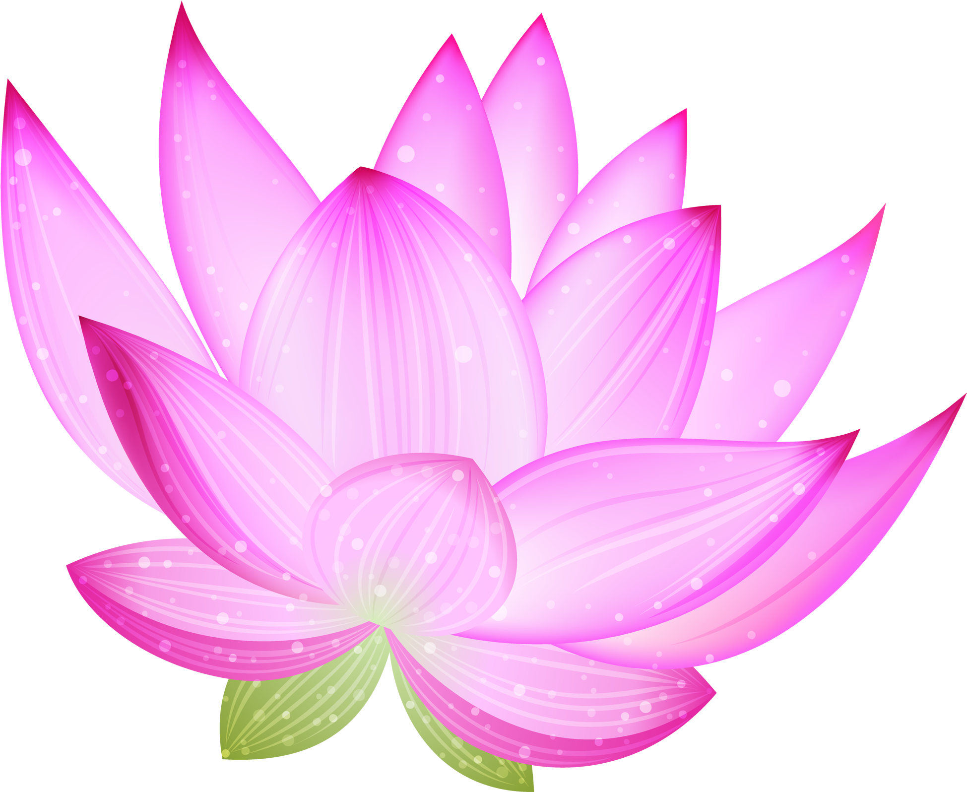 Large Pink Lotus Png Clipart - Clip Art (2000x1623), Png Download