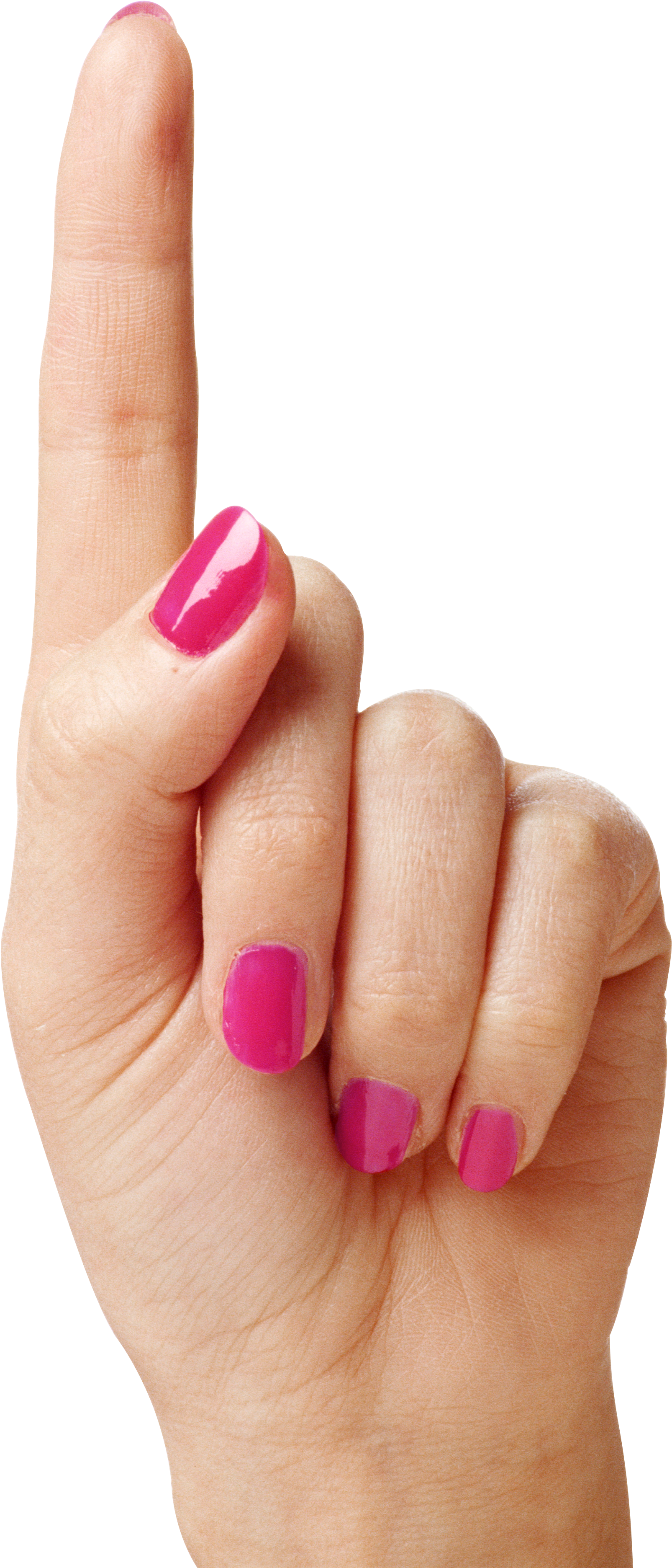 Woman Hand Png (2565x3885), Png Download