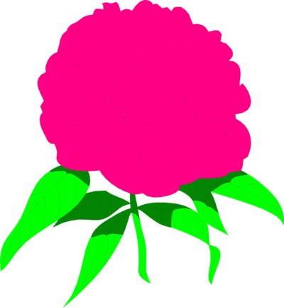 Peony - Clip Art (400x433), Png Download