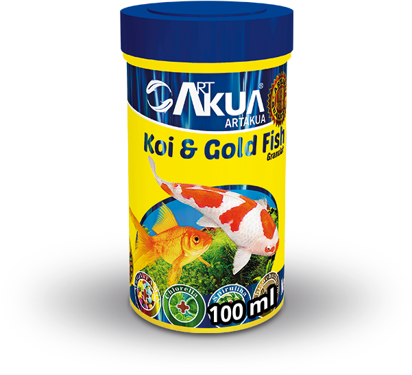 Koi & Goldfish - Fish (600x600), Png Download