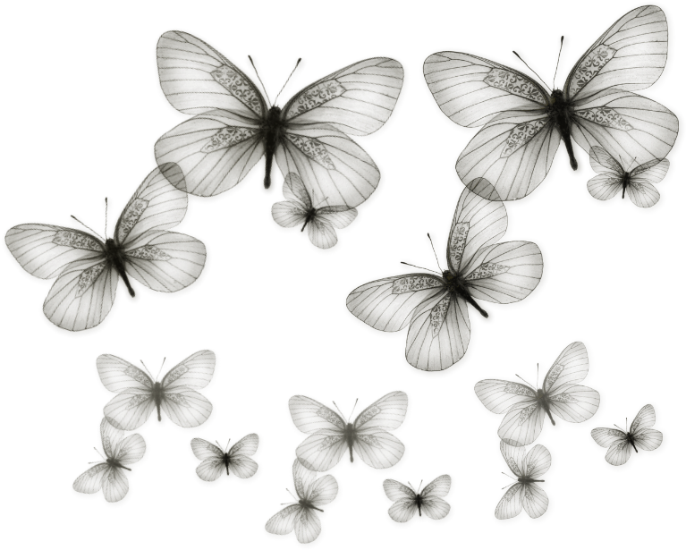 Butterflies Transparent - Portable Network Graphics (804x735), Png Download