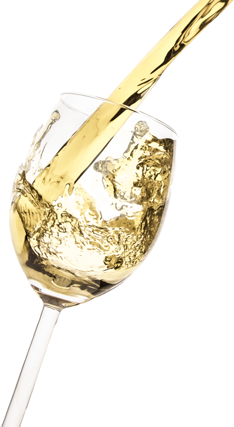 Wine Menu - White Wine Png (481x876), Png Download