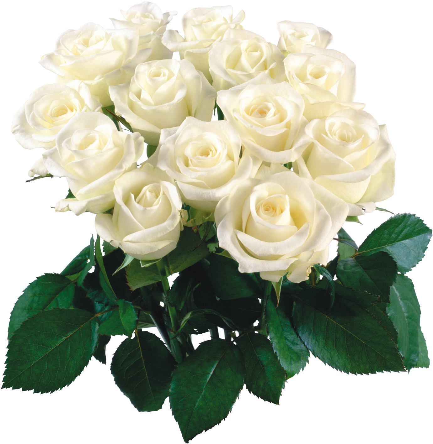 Bouquet Flowers Of Sticker - Beautiful Flowers Roses White (1424x1500), Png Download