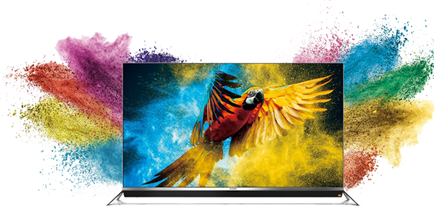 Photography - Beautiful Parrot Pillow Case (885x430), Png Download