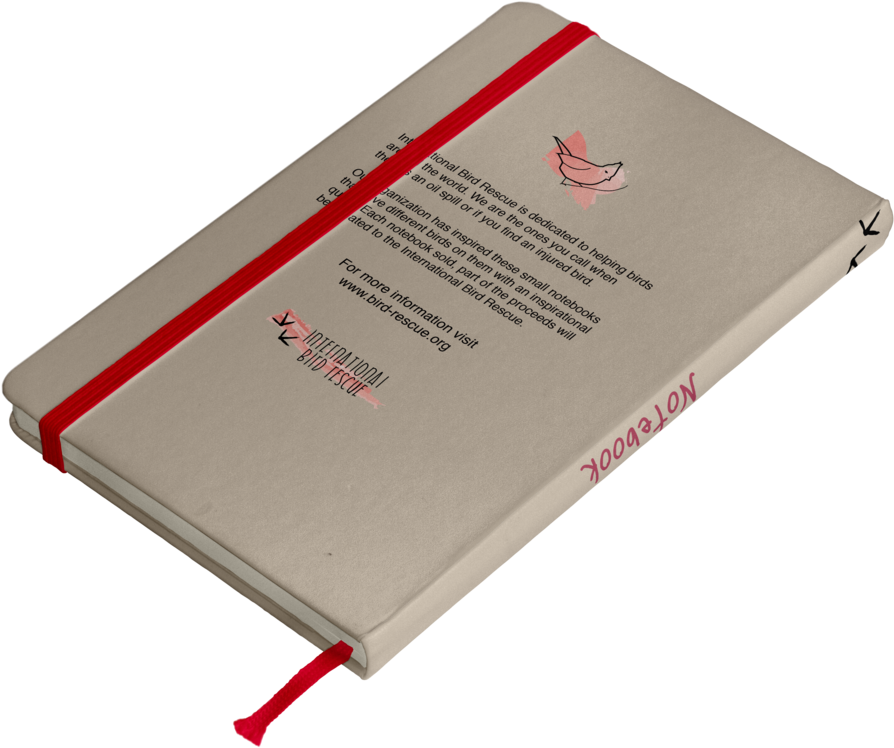 Backofnote1 (1000x1000), Png Download